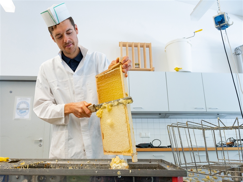 BERUFENET - Bundesagentur für Arbeit