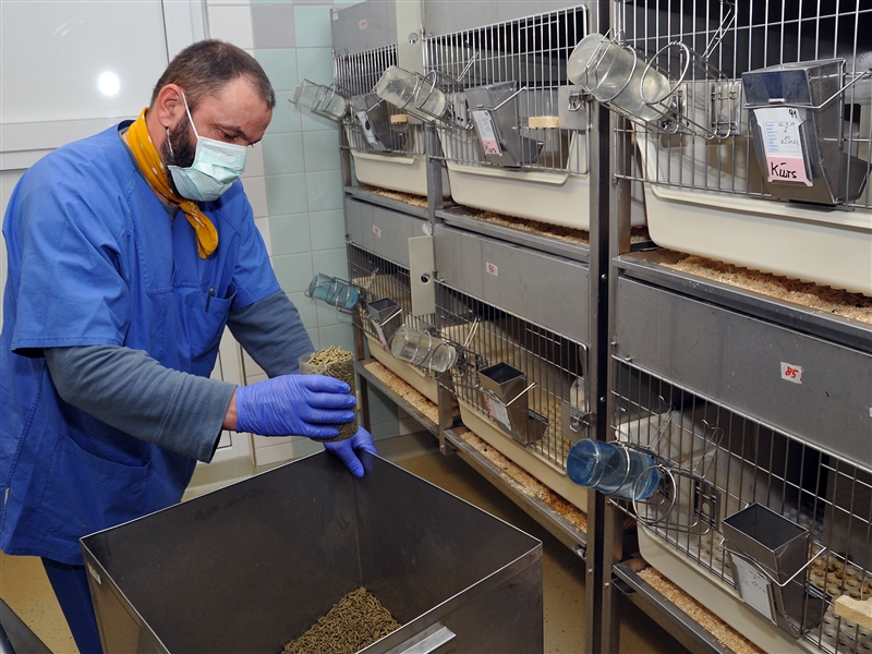 Tierpfleger Für Forschung Und Klinik BERUFENET - Bundesagentur für Arbeit