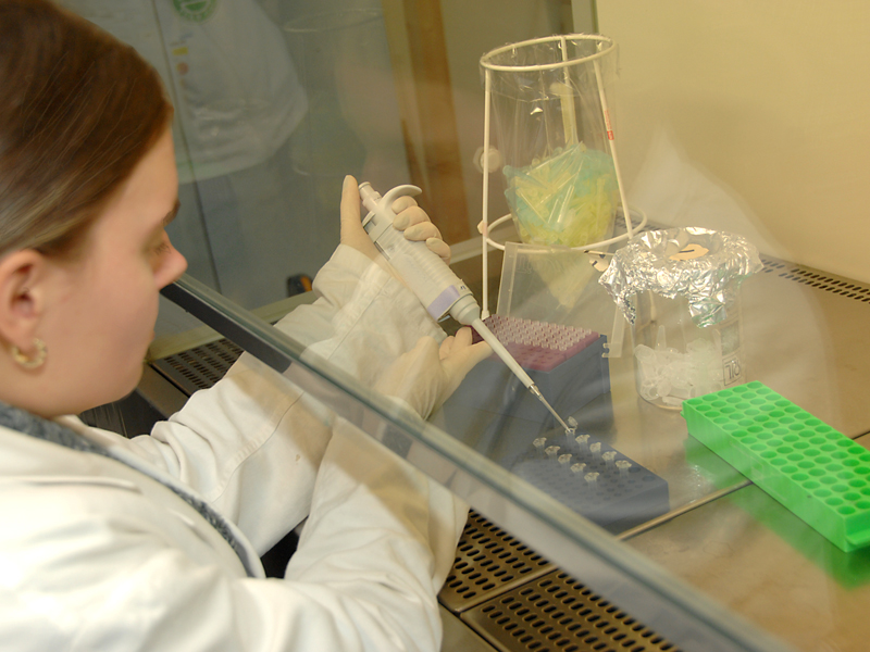 Bundesagentur für Arbeit