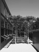 Büro - Innenhof