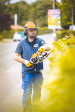 Grünpflege 