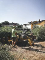 Wurzelfräsen