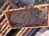 3. Bild des Arbeitgebers