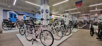 Gazelle Store 