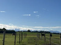 Koppeln