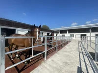 Paddock Boxen