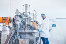 Geschmacksstoffproduktion