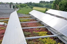 Gründach und Solar Büro