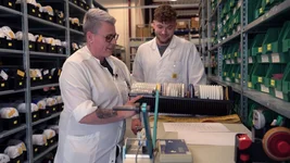 6. Bild des Arbeitgebers