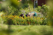 Arbeitsbereich Garten- und Landschaftsbau