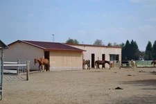 Aktivstall