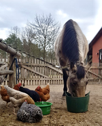 4. Bild des Arbeitgebers