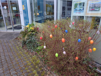 7. Bild des Arbeitgebers