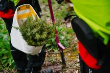 7. Bild des Arbeitgebers
