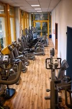 Cardio