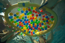 spielerisches Schwimmenlernen 