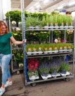 Großhandel für Blumen und Pflanzen - Beispiel Einkauf 3