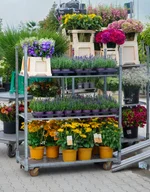 Großhandel für Blumen und Pflanzen - Beispiel Einkauf 2