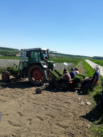 Mitarbeiter bei der Neuanlage einer Anbaufläche