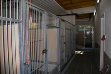 Hundehaus