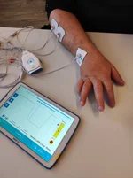 Elektromyostimulation mit Stella von EGZOTech