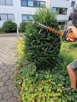 Grünpflege