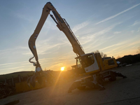 Abendstimmung auf unserem Recyclinghof