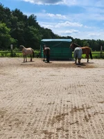 Unser Paddock inkl. Weidezelt