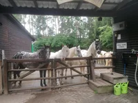 Unser Eingang zum Paddock
