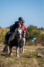 Unsere tollen Schulponies bei Ponyspielen