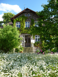 1. Bild des Arbeitgebers