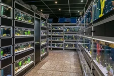 Zierfischverkaufsanlage