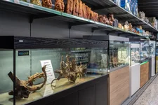 Aquarienausstellung