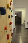 Kletterwand