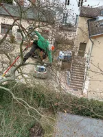 Baumpflege im aussen Astbereich 