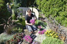 2. Bild des Arbeitgebers