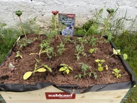 9. Bild des Arbeitgebers
