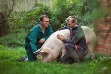 Tierwohl steht an erster Stelle