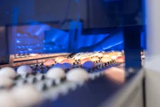 1. Bild des Arbeitgebers